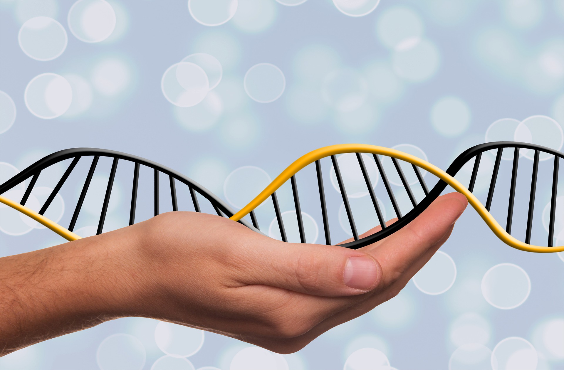 Epigenética e Nutrição. Será que nossa alimentação pode alterar nossos genes?